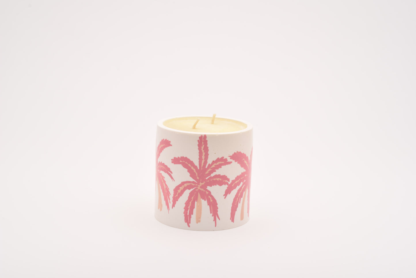 Candle Palm Tree