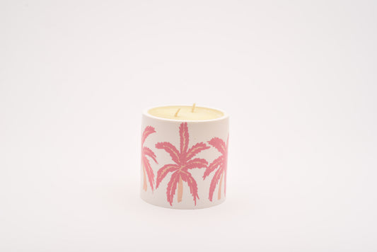 Candle Palm Tree